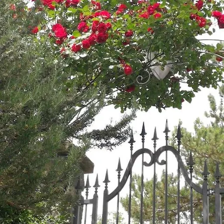 Ca' Baruffi Apartamento Lizzano In Belvedere